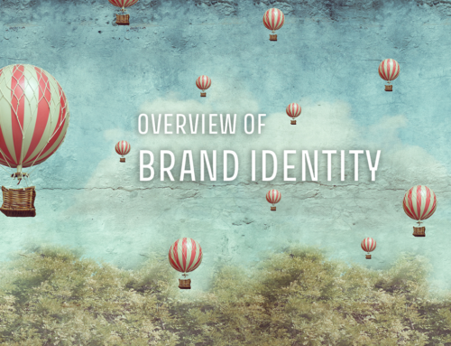 OVERVIEW OF BRAND IDENTITY